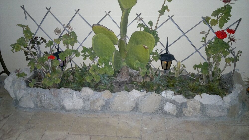 Фото Savva Complex