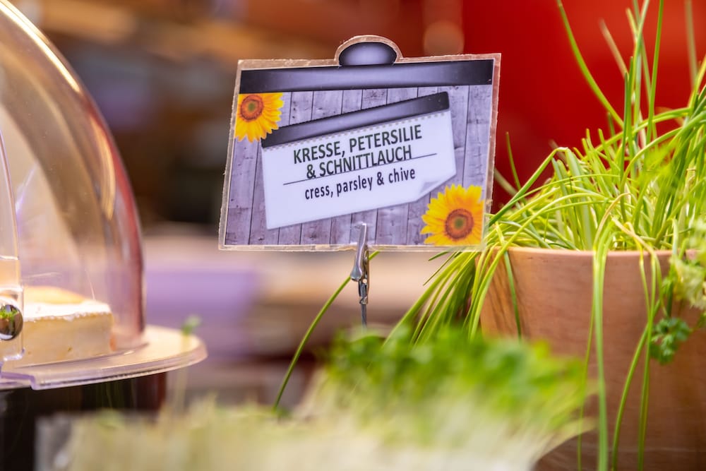 Фото Novotel Mainz