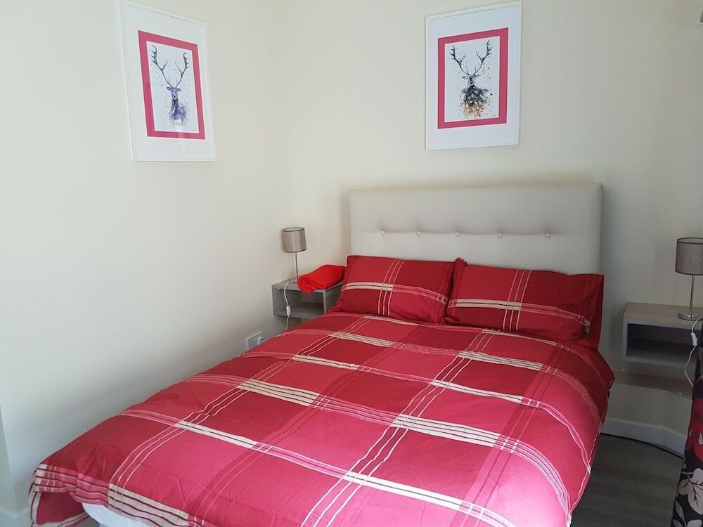 Фото Chamberlain Too