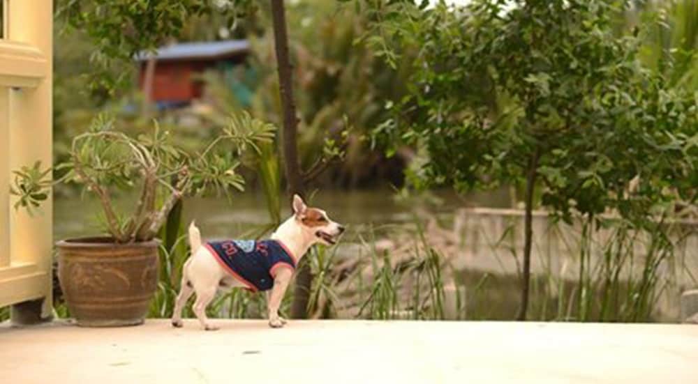 Фото River Jam Amphawa