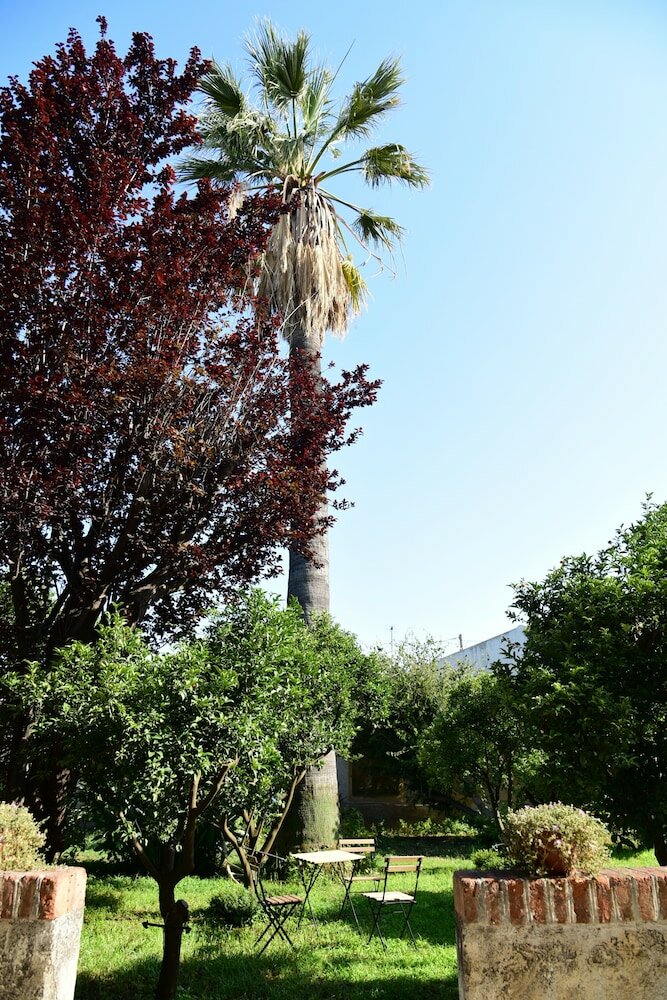 Фото Giardino Arancio