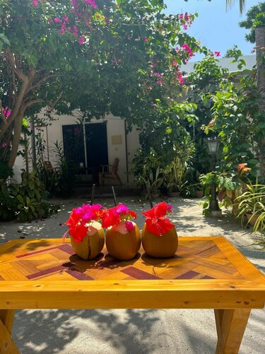 Гостиница Lagoon Villa Thoddoo на Тодду