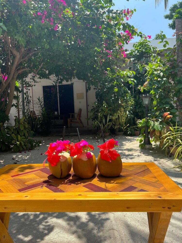 Фото Lagoon Villa Thoddoo