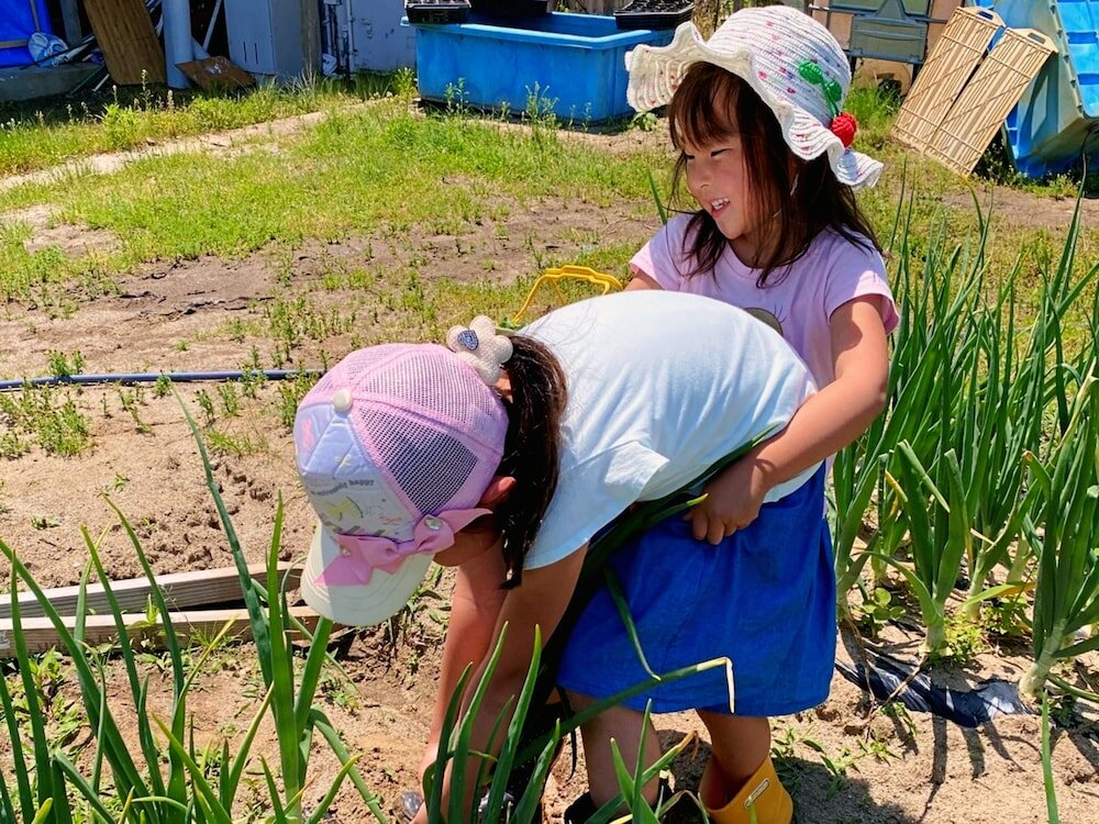 Фото Pastoral Enishinosato