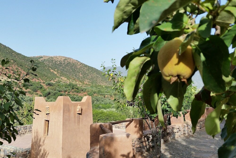 Фото Kasbah Africa