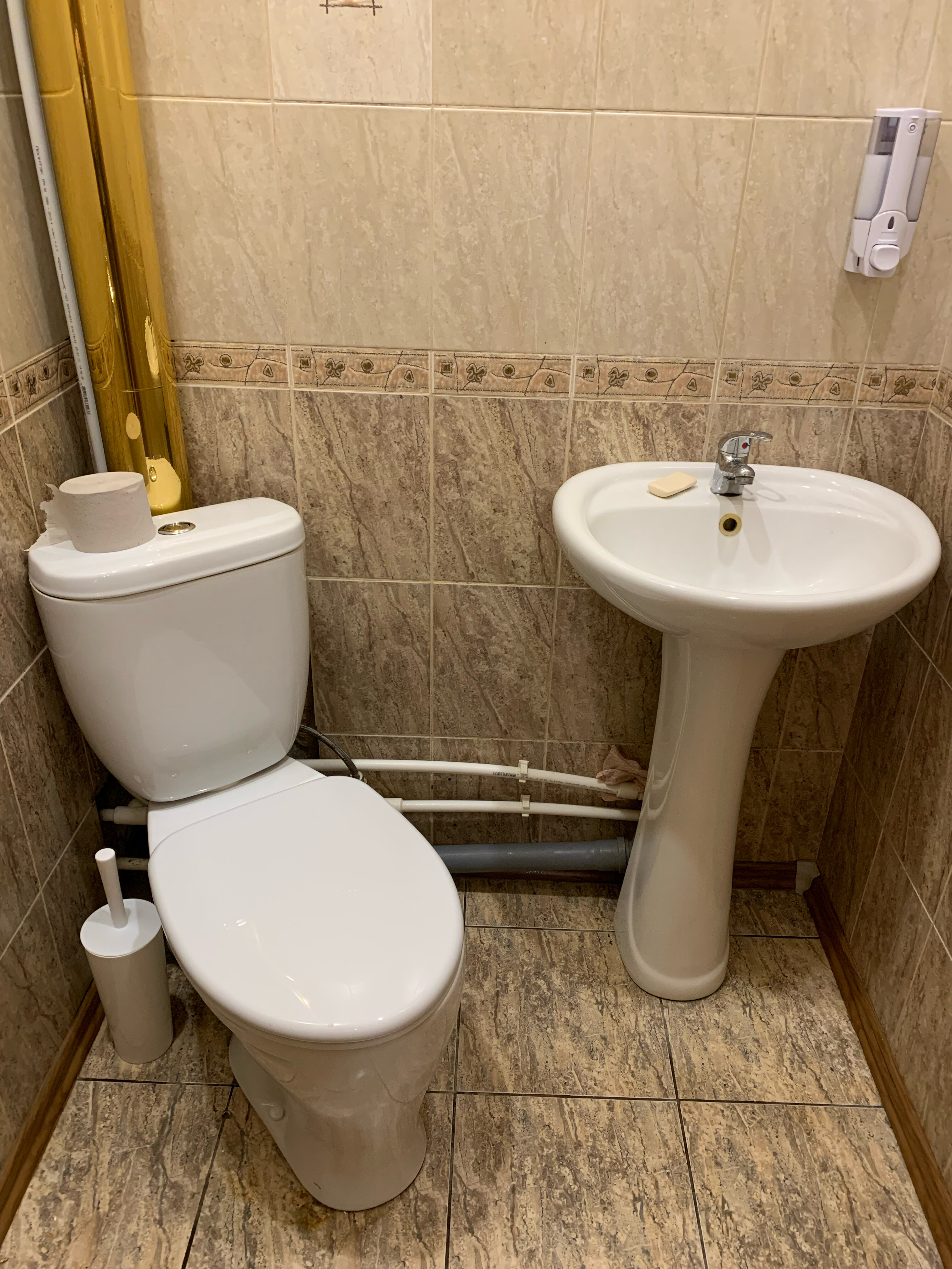 Фото Берёзка