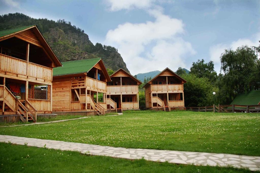 Фото Альбатрос