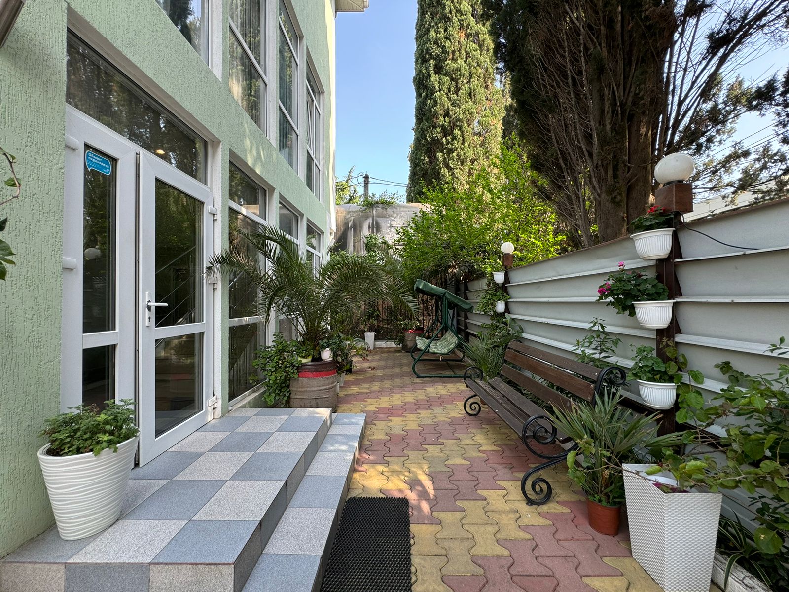 Фото Тростник