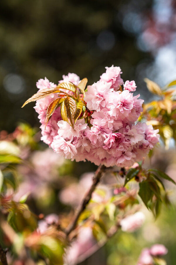 Фото Знание