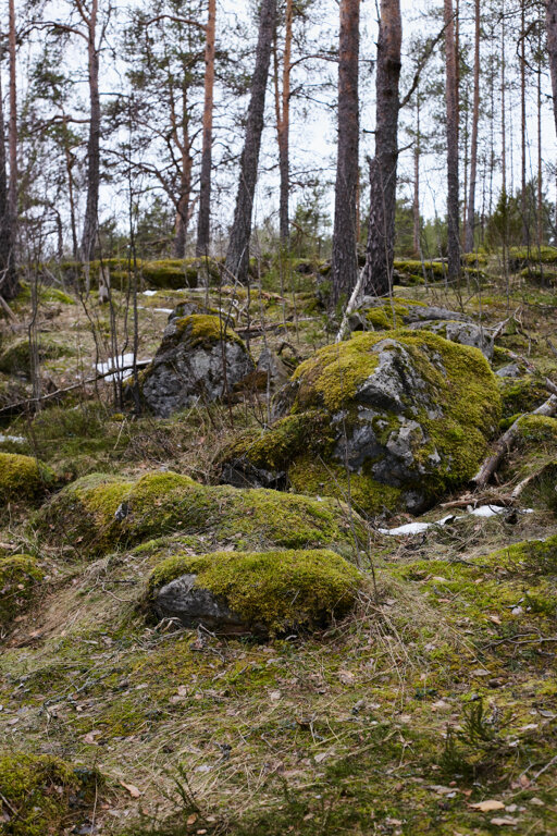 Фото Krasota Scape