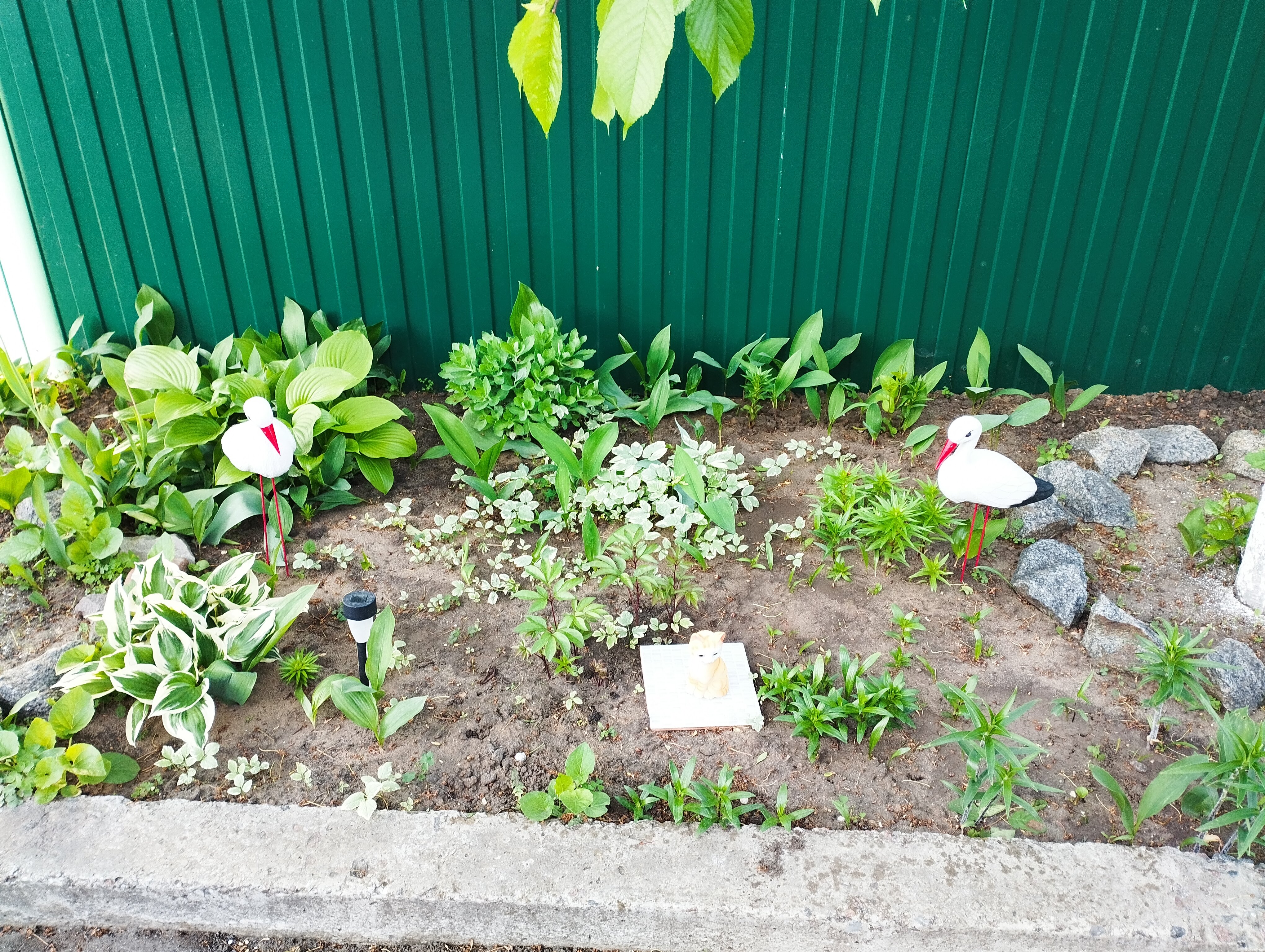 Фото Эльвира