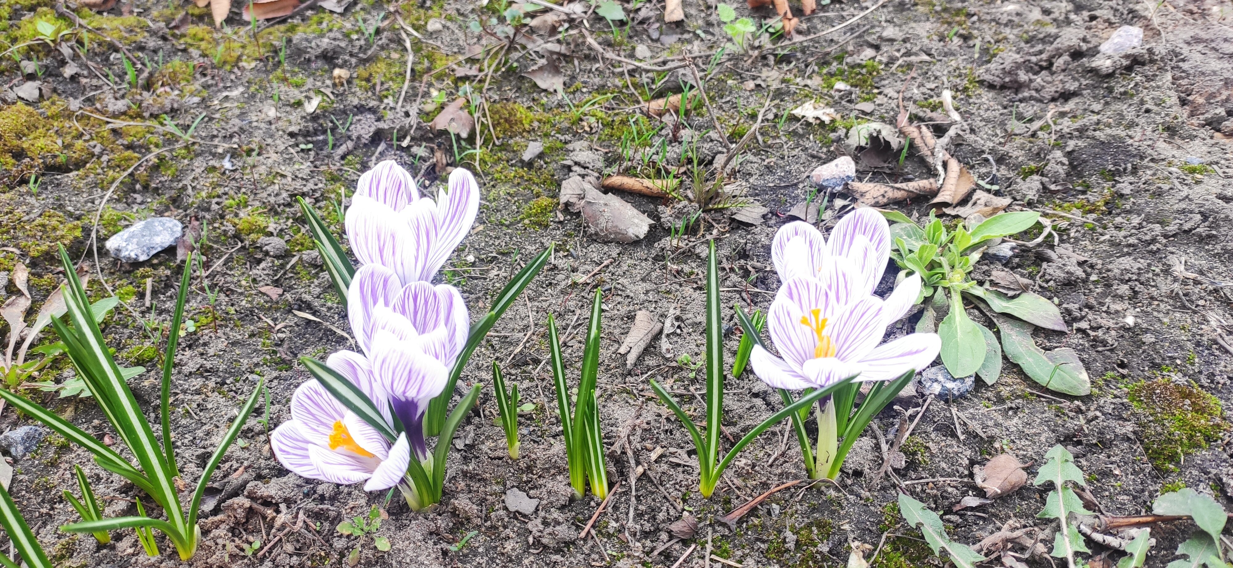 Фото Уют и Тепло