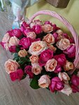 Rose 58 (Village of Zasechnoe, Svetlaya Street, 7), flower shop