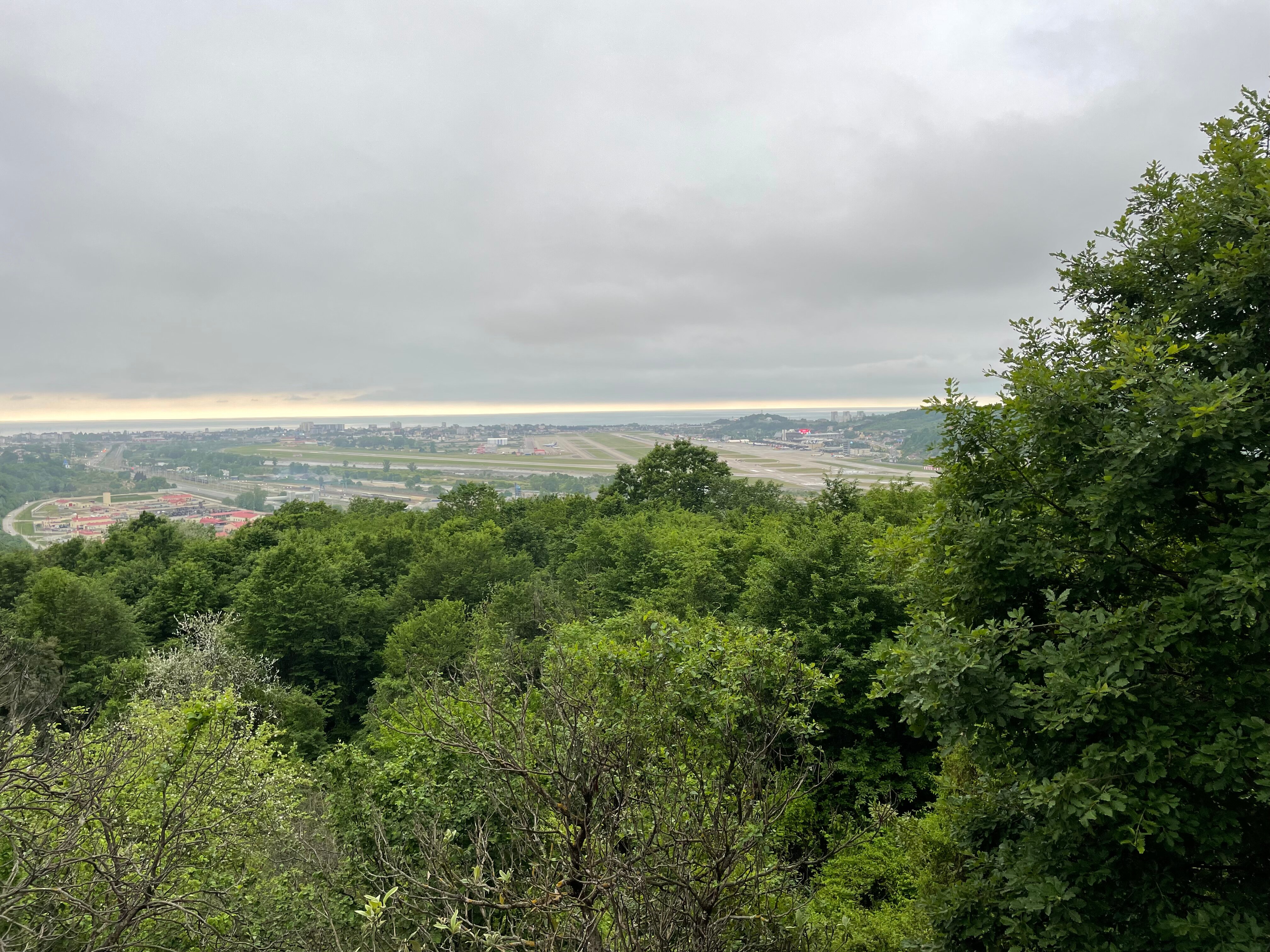 Фото Оранжереи