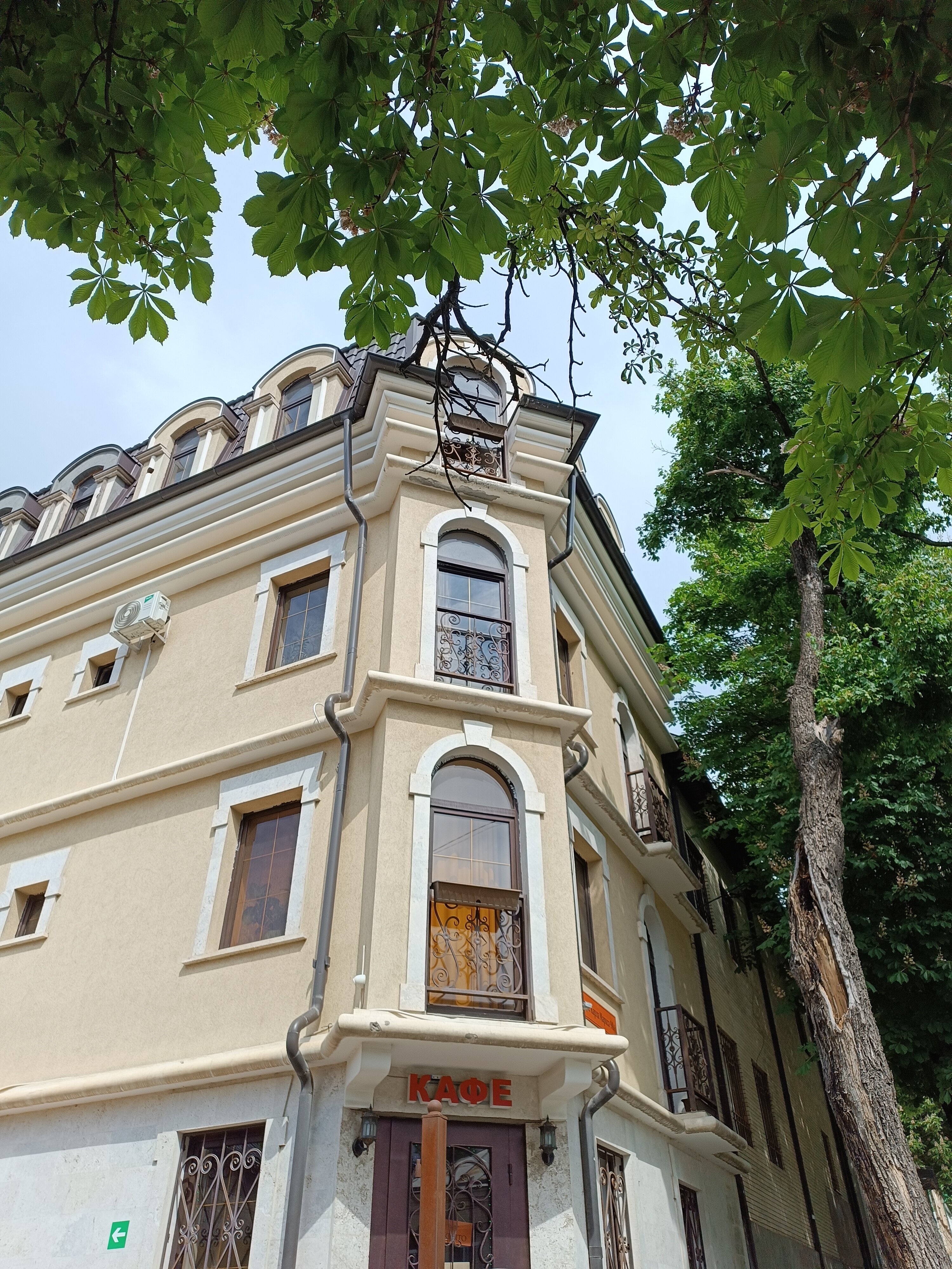 Фото Роза Кавказа