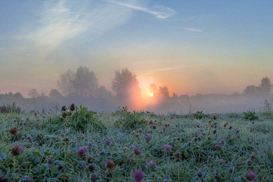 Фото Усадьба Родное