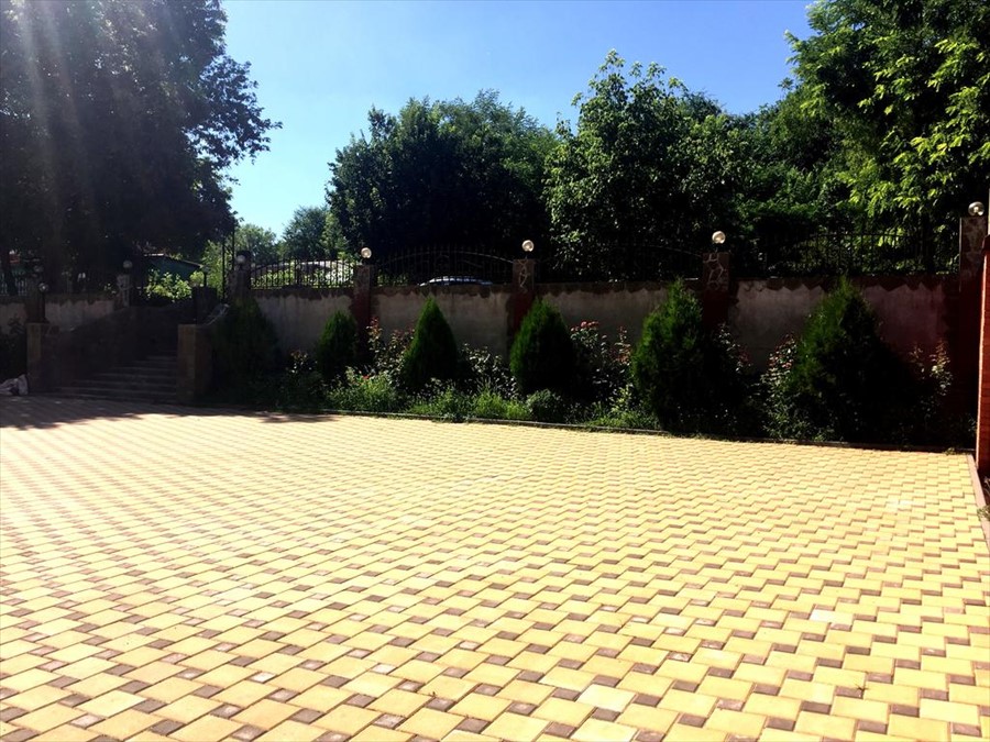 Фото Каштан