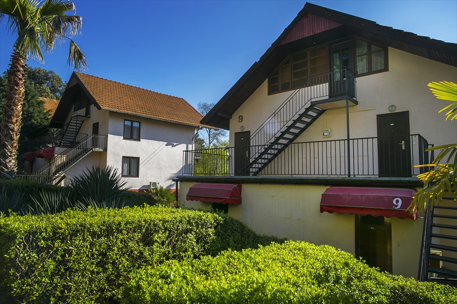 Фото Дивный