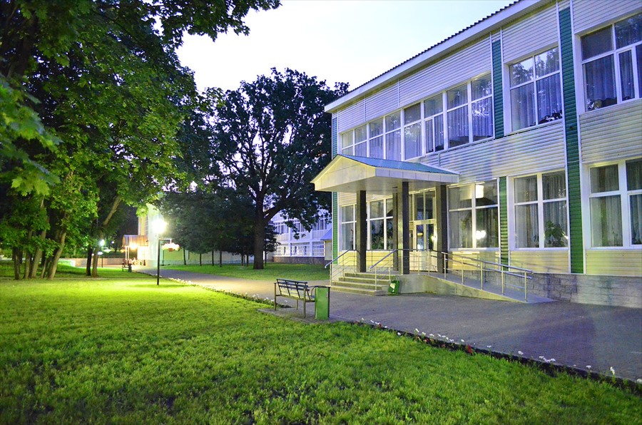 Фото Зеленая роща