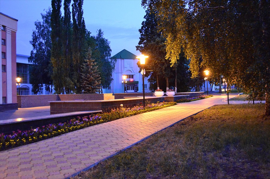 Фото Зеленая роща