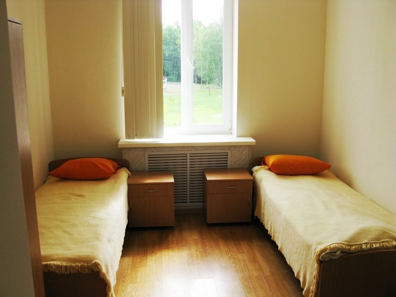 Фото Алая роза