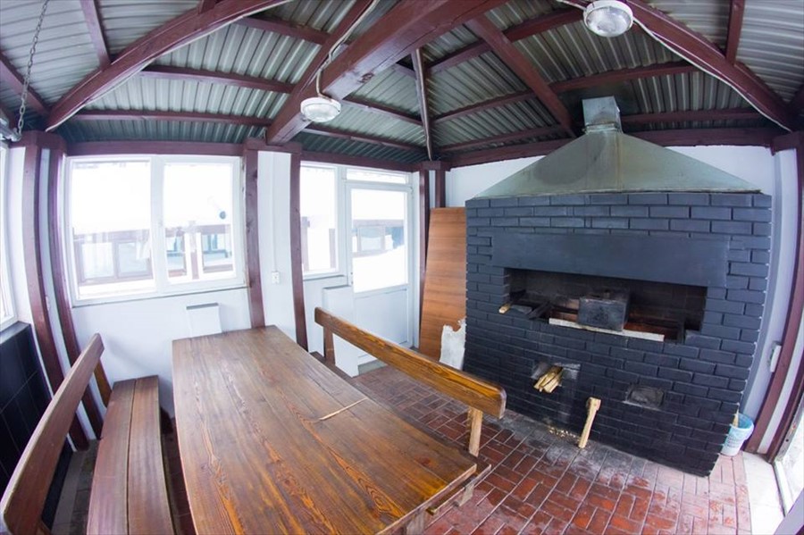 Фото Алая роза