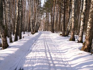 Парк-отель Волжский прибой