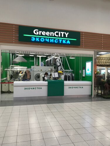 Пушкино химчистка машины