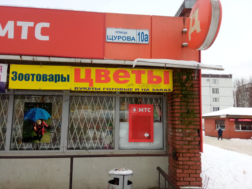 Гарант ул щурова 3 корп 1 фото Магазин цветов, магазин цветов, ул. Щурова, 10А, Отрадное - Яндекс Карты
