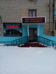 Nika (Moskovskaya Street, 35), tienda de repuestos y artículos para automóviles