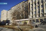 ArtProFest (Mikhaila Nagibina Avenue, 14А), tədbirlərin təşkili