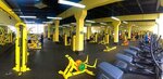 Safari Fitness (ул. Пестеля, 38, Липецк), фитнес-клуб в Липецке