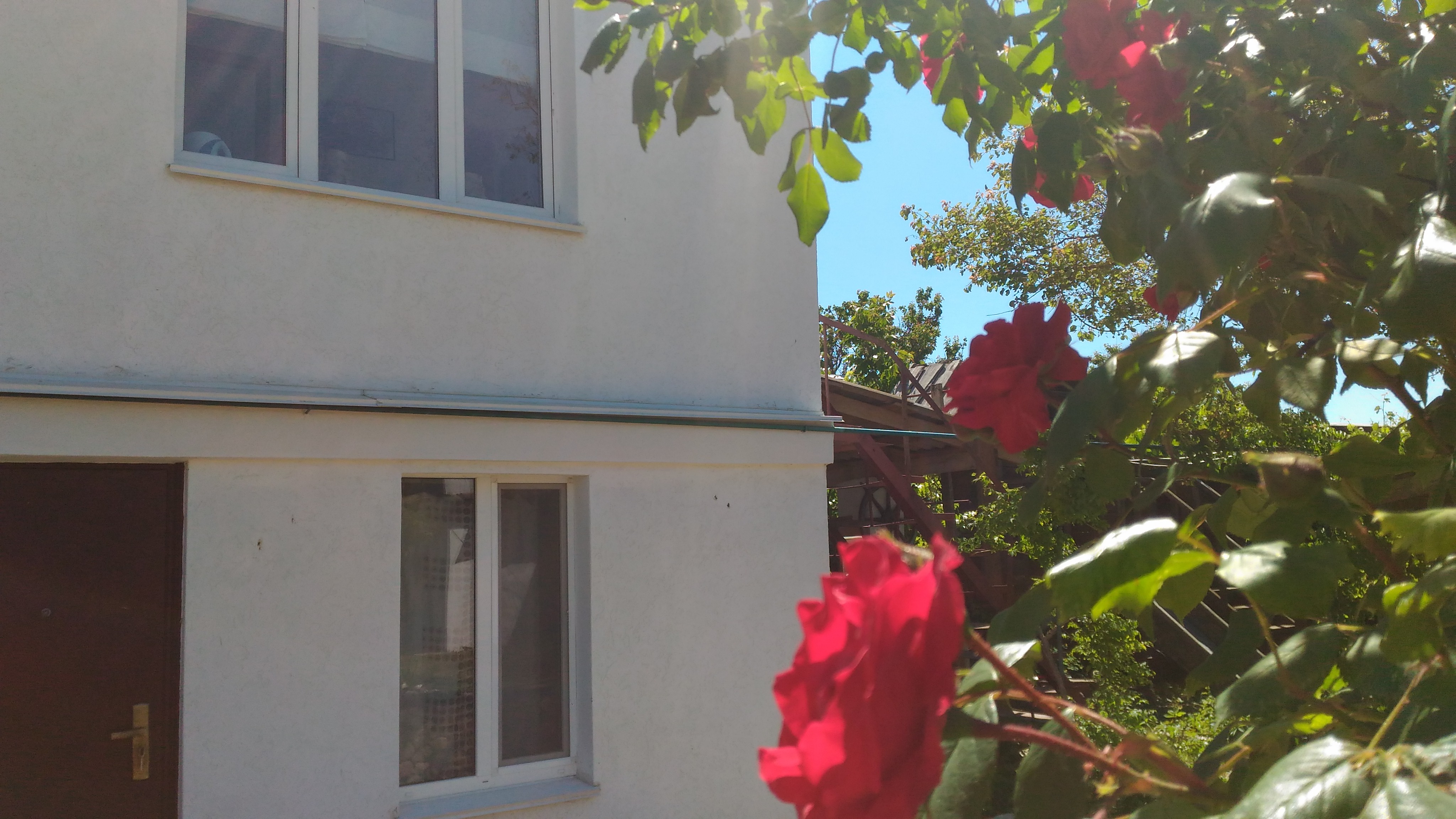 Фото СимСим