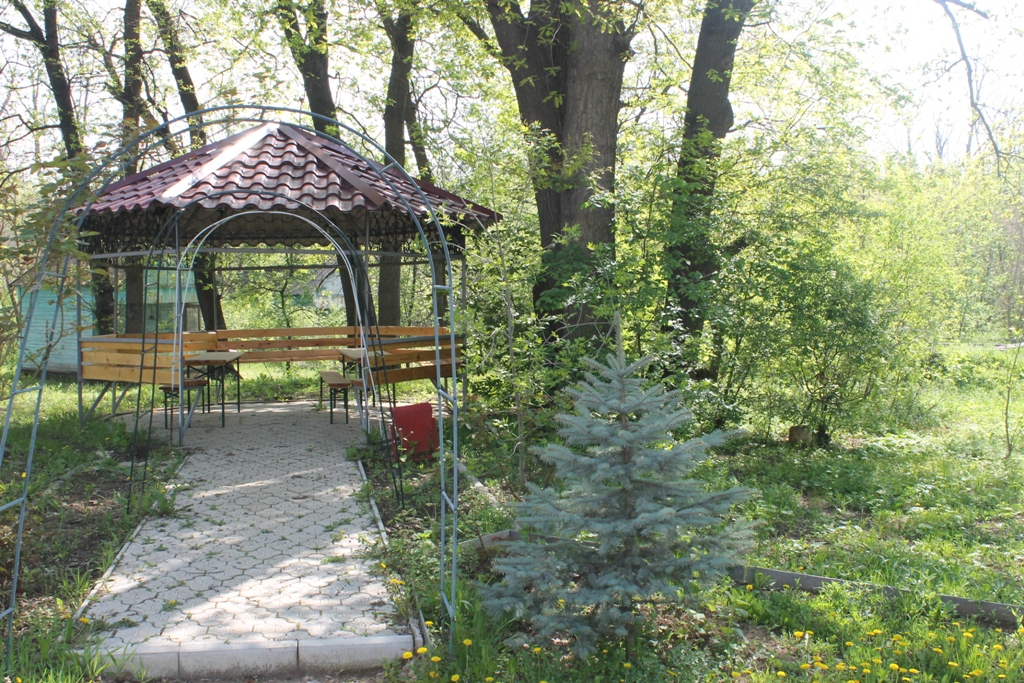 Фото Бакалда