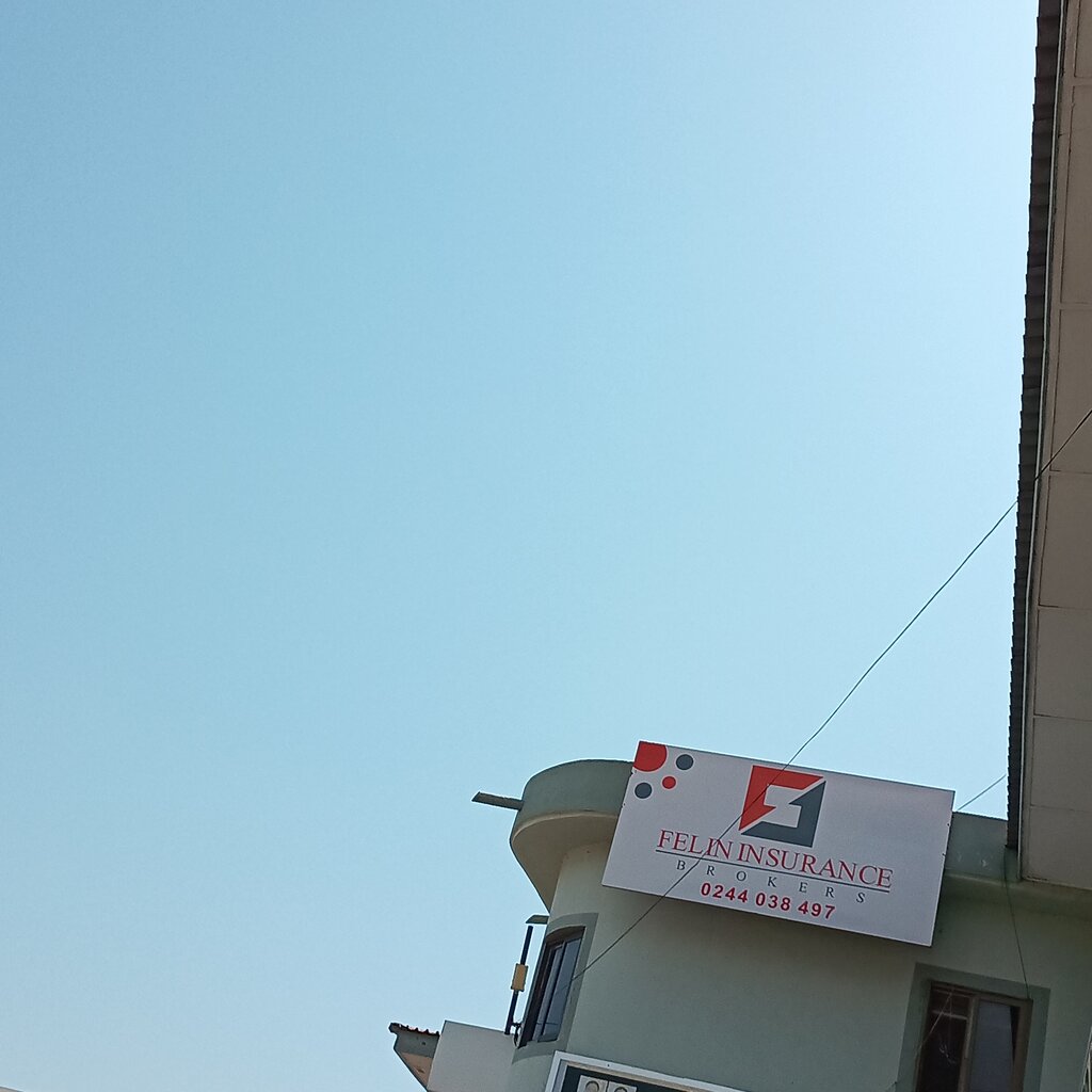 Insurance company Felin, Earth, photo