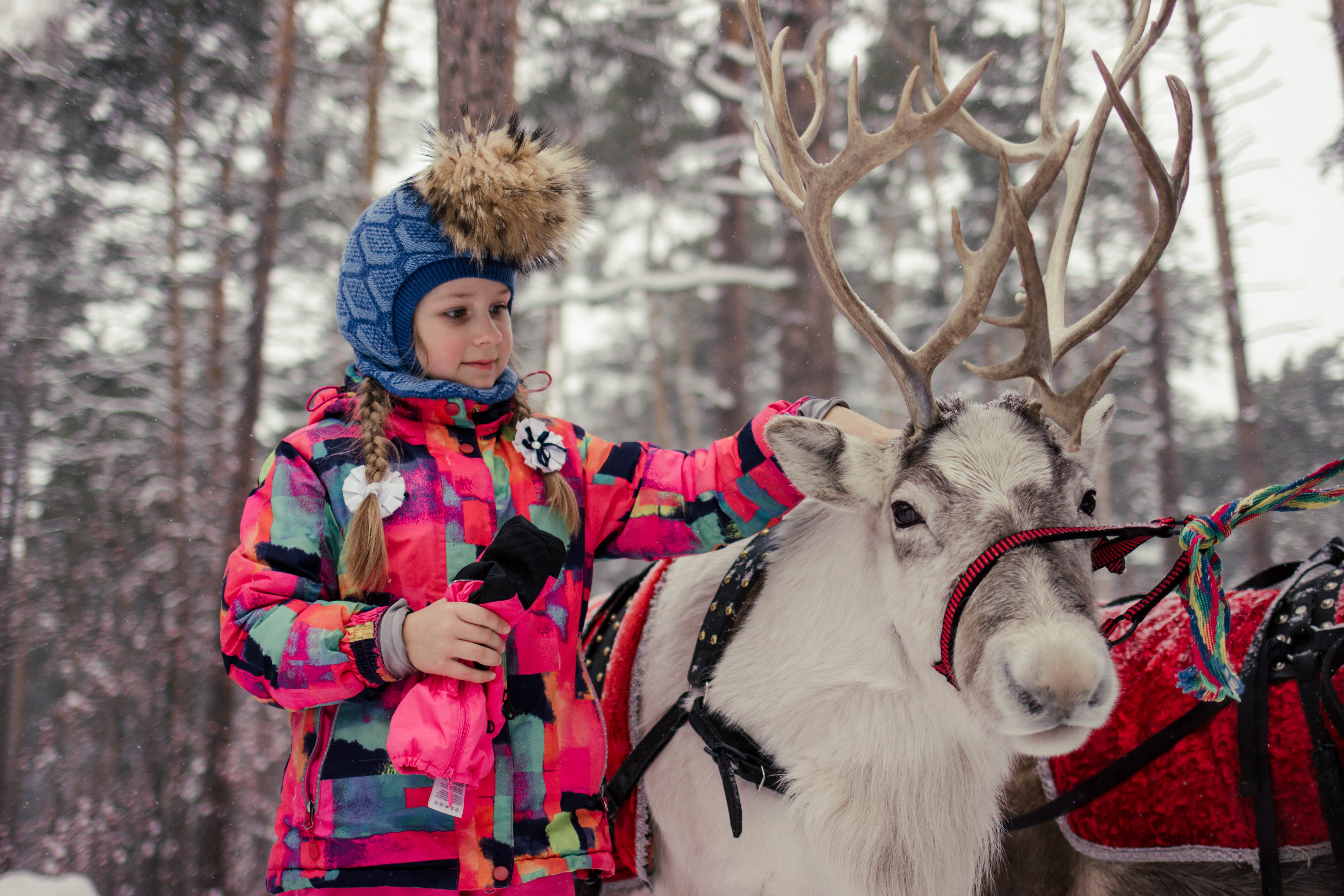 Фото Чкаловские Дачи