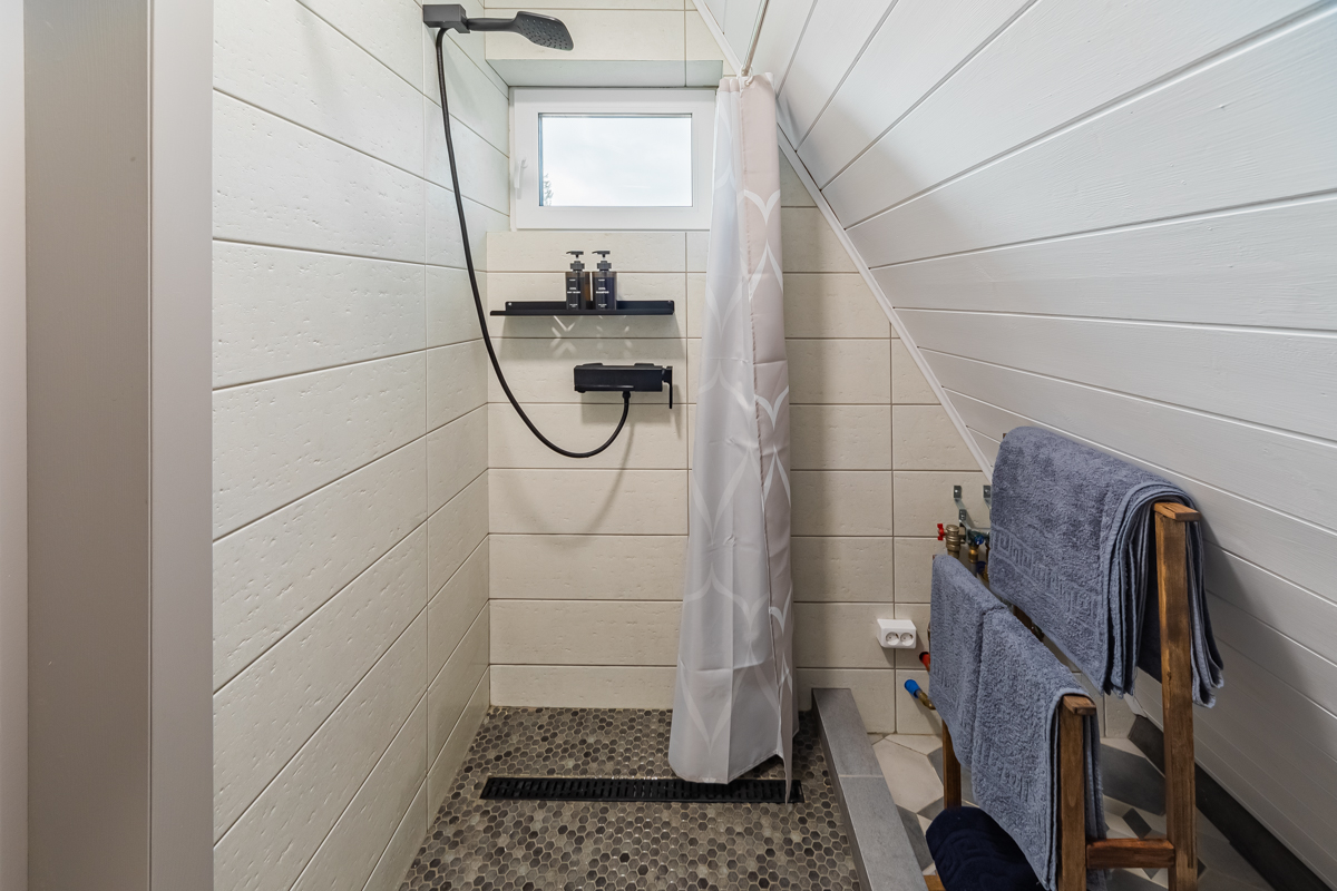 Фото Pine Forest