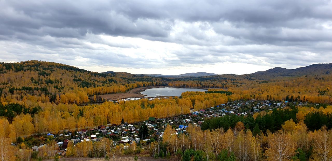 Фото Дикая Вишня