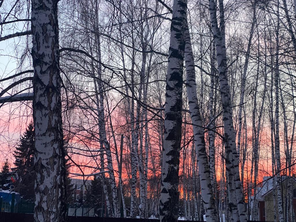 Фото Охотничий клуб