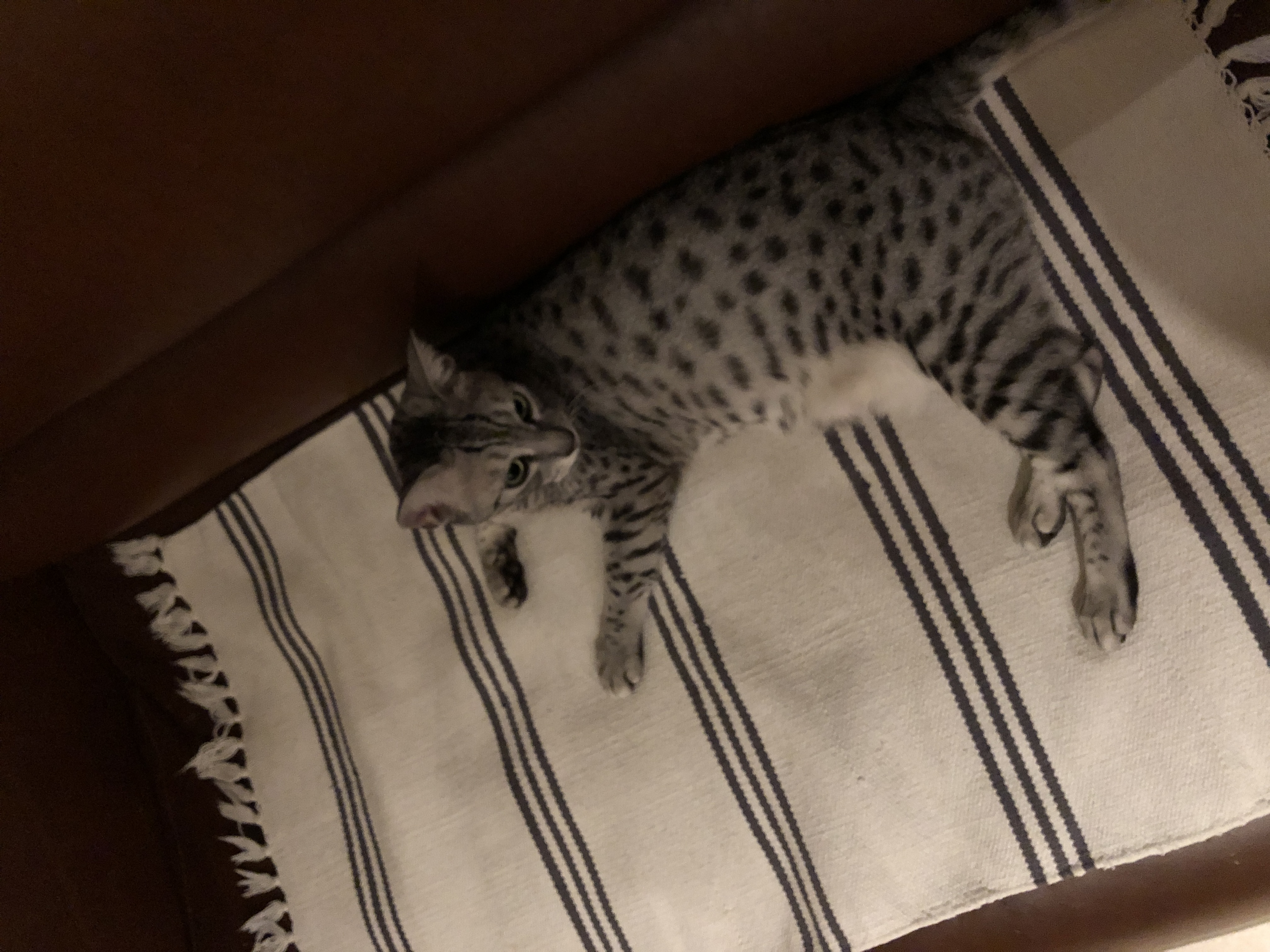 Фото Центр 300