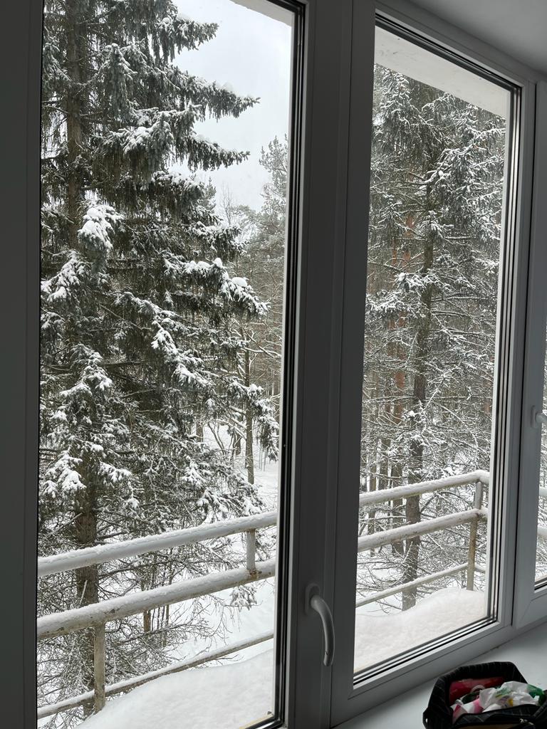 Фото Комарово