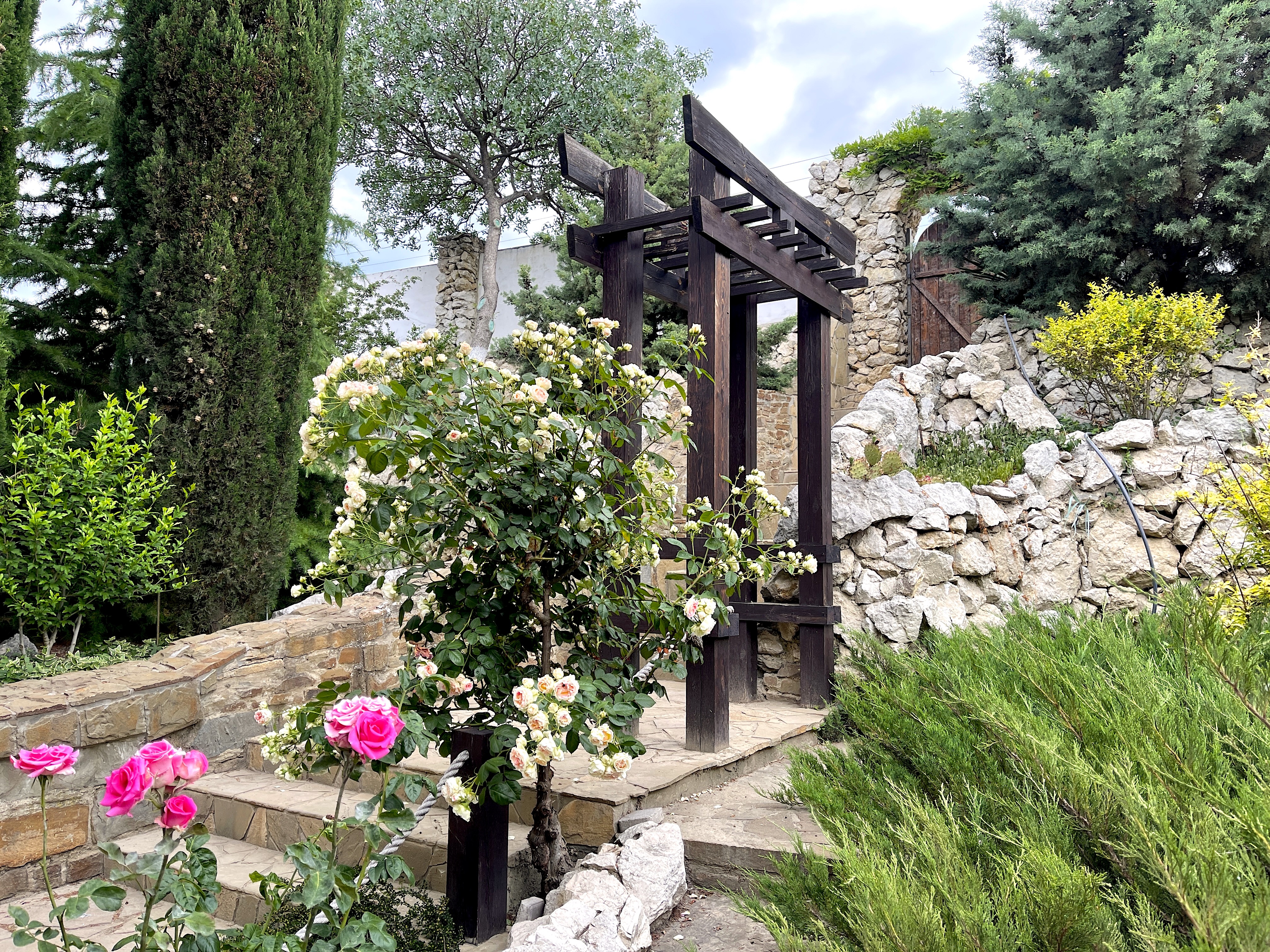 Фото Лагуна