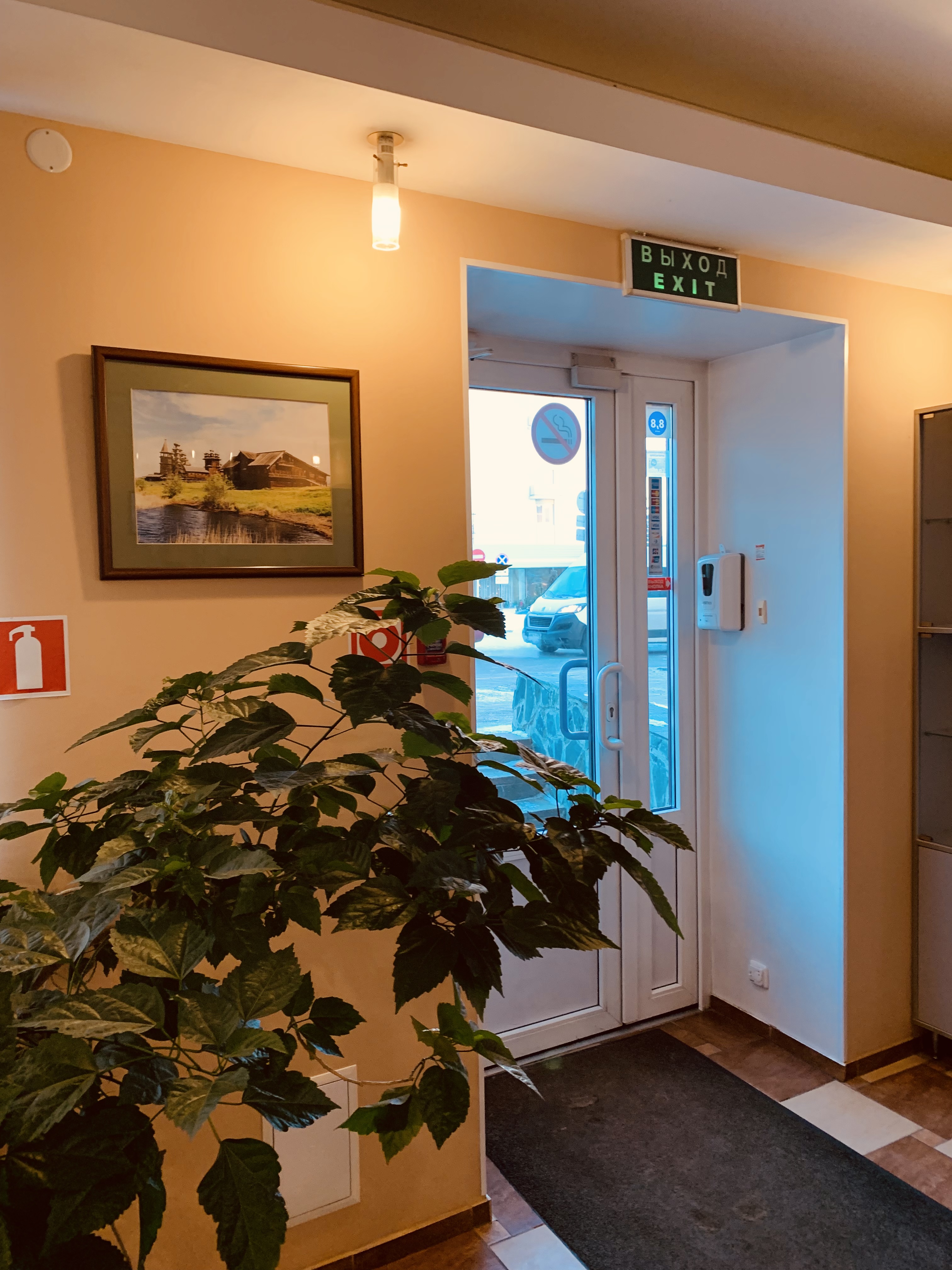 Фото Ауринко