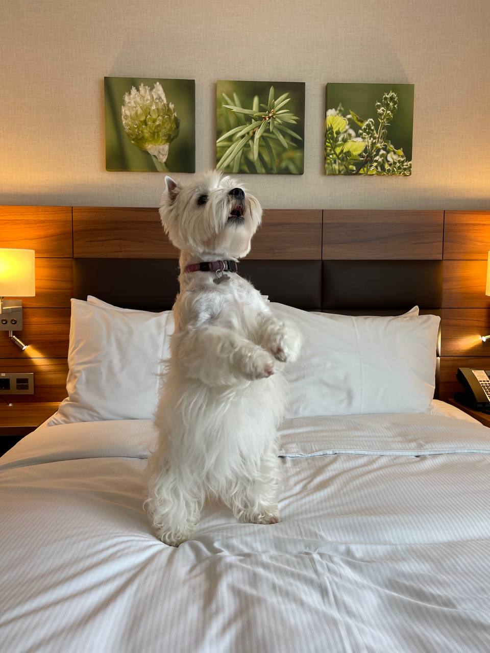 Фото Отель Москва Красносельская