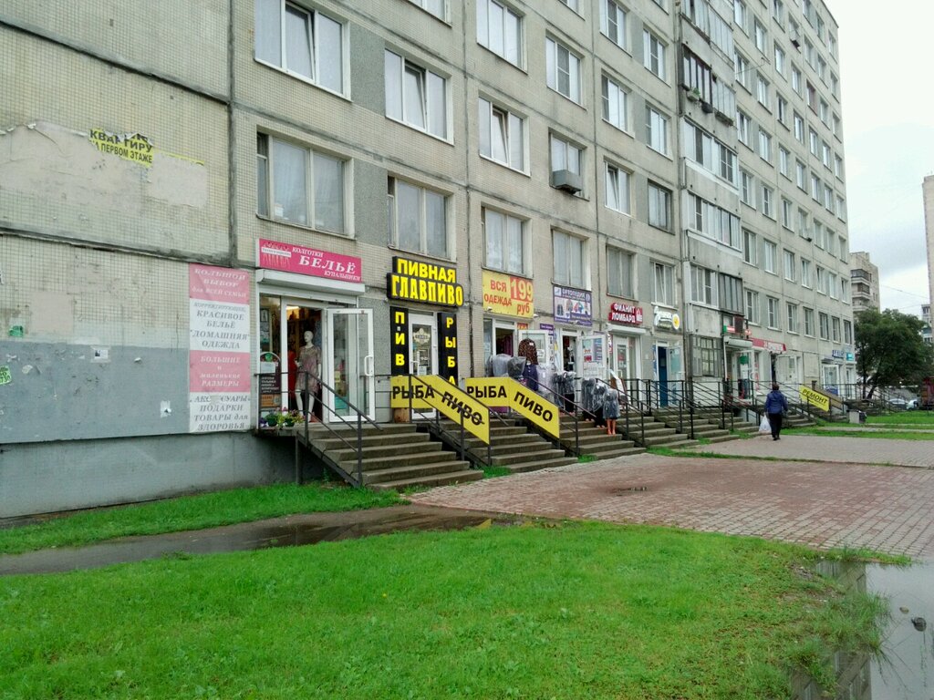 Котохаус будапештская ул 36 корп 2 фото Твоя Цена, товары для дома, Будапештская ул., 67, Санкт-Петербург - Яндекс Карты