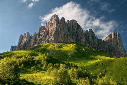 Фото Лисья нора