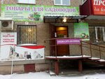 Sadovod (Ushinskogo Street, 10), gardening shop