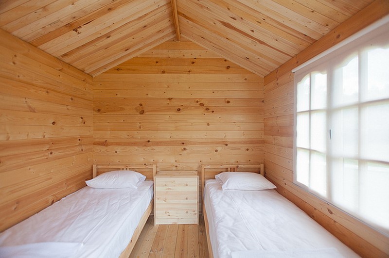 Фото Никола-Ленивец