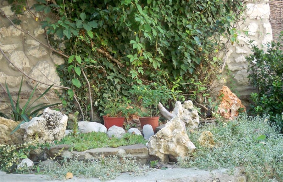 Фото На Октябрьской 5