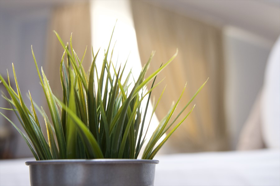 Фото Хемингуэй